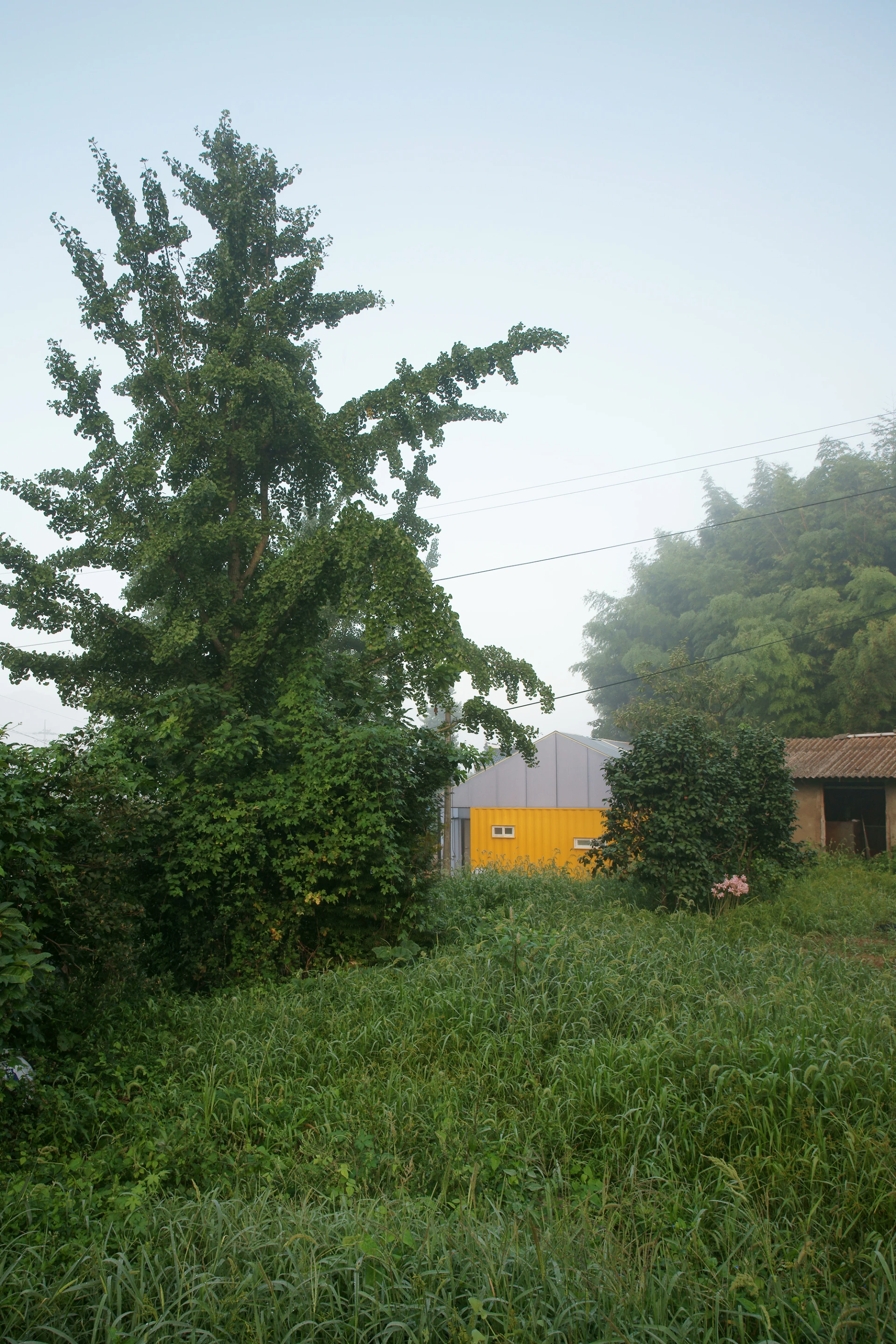 As it was in such a state of disrepair, the original property was demolished rather than renovated (Photo: Hwang Hyochel)