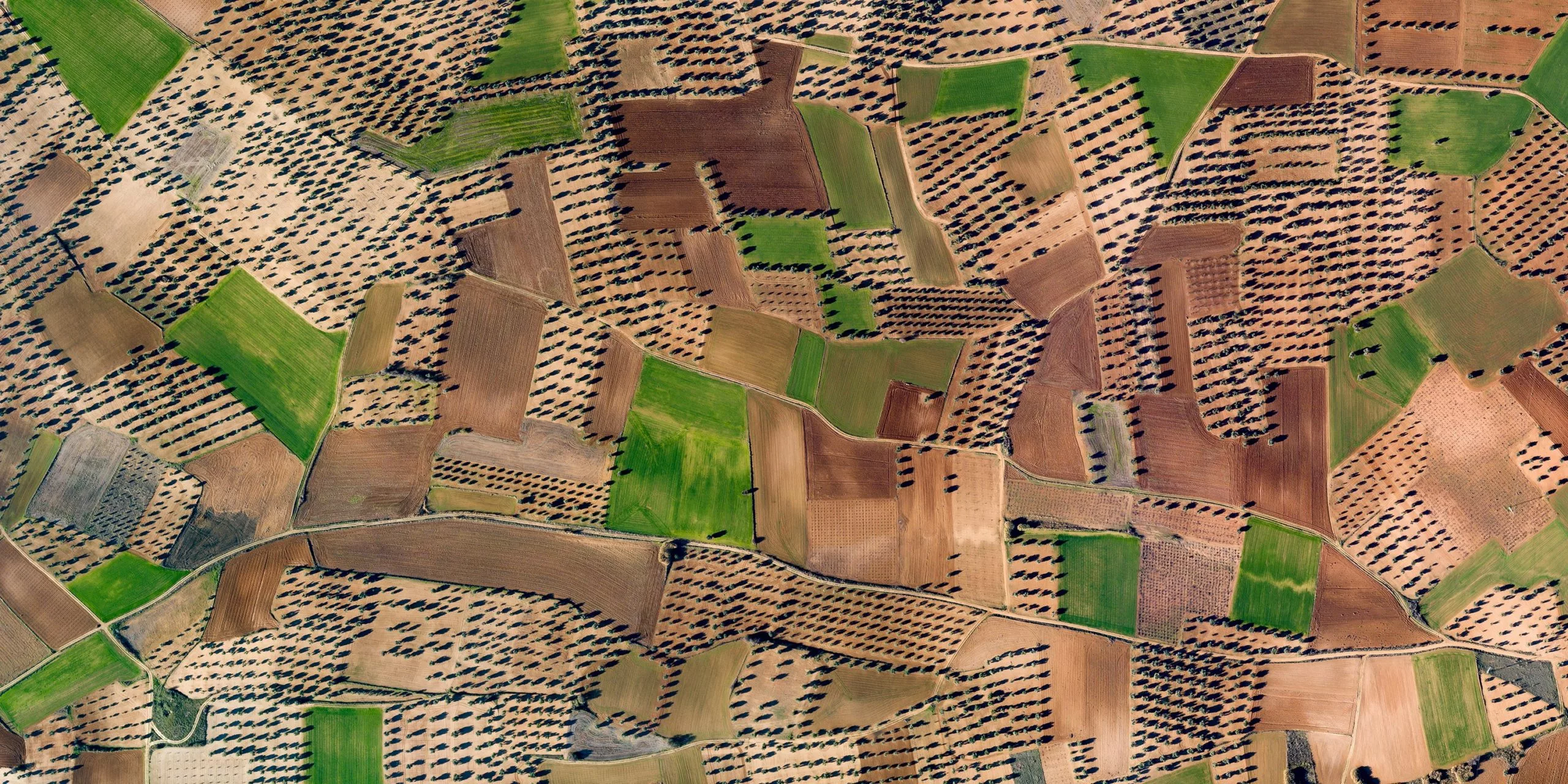 Highlight from the top 50 in Open Built Environment / Architecture