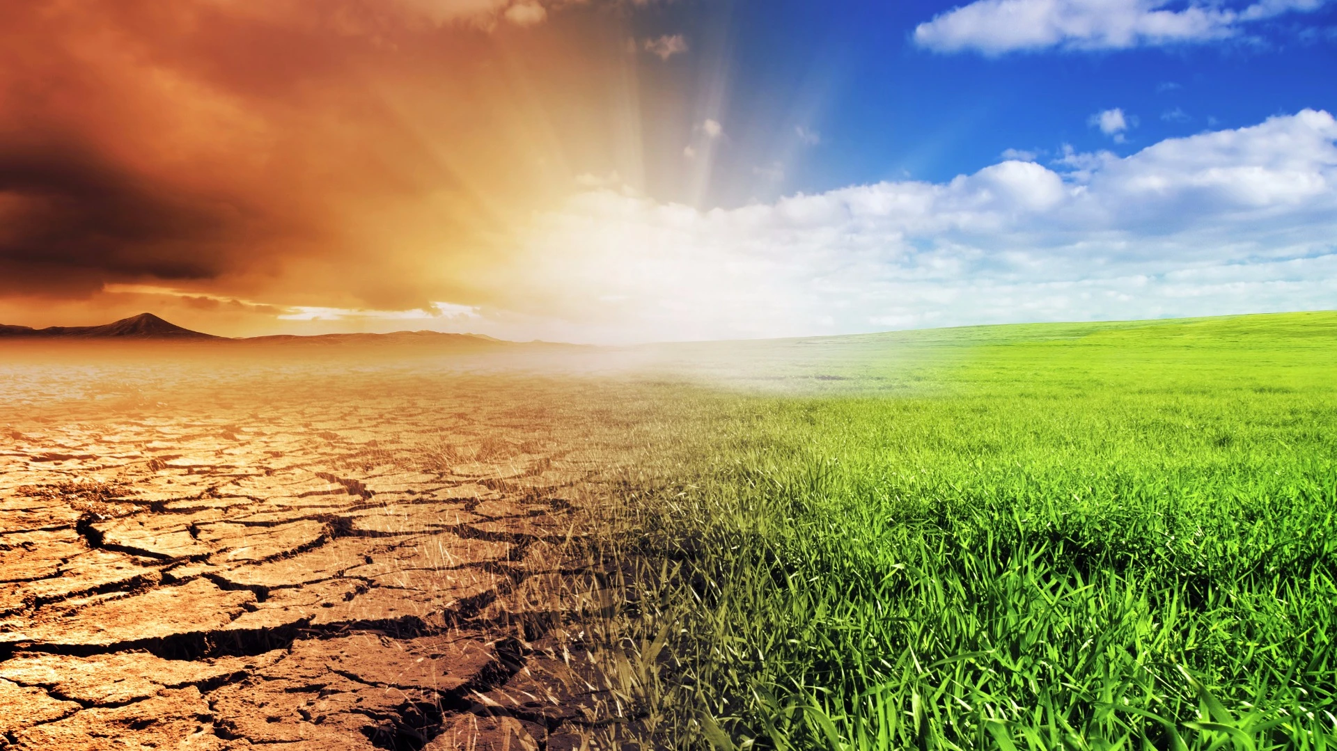 One of the most comprehensive climate databases has revealed clear evidence of human-induced climate change