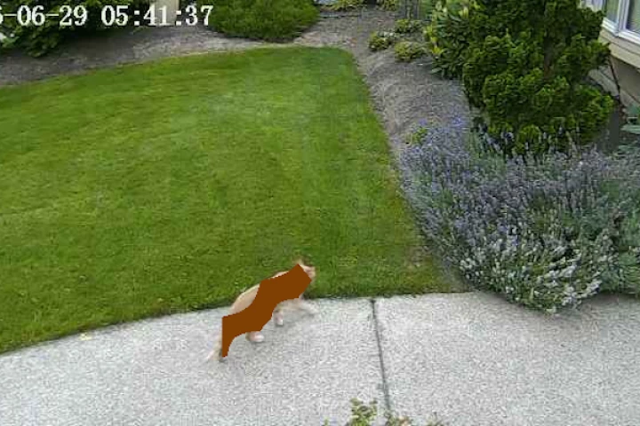 Nvidia engineer Robert Bond has developed a system that detects when the neighbor's cats are in his yard, and turns the sprinklers on to send them packing