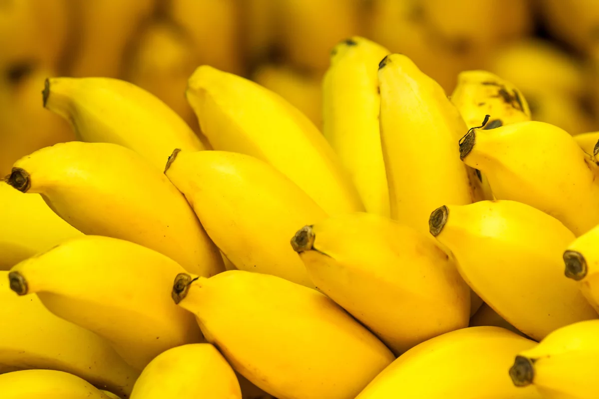 The super bananas are yellow on the outside (like the regular bananas seen here), but their flesh is orange with pro-vitamin A (Photo: Shutterstock)