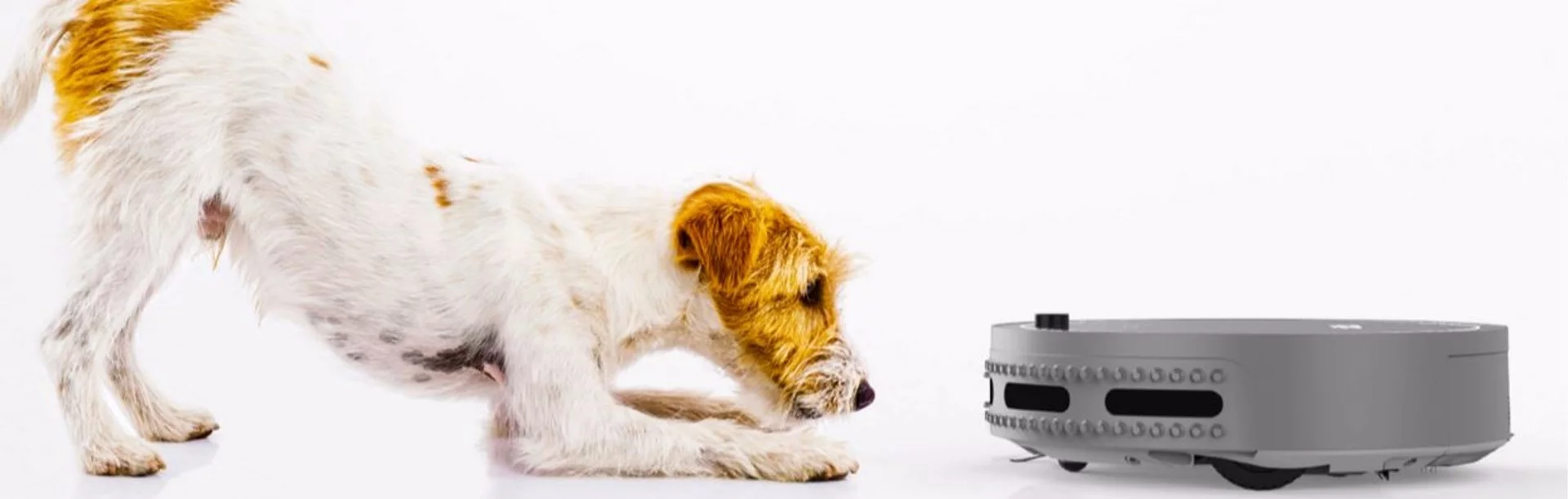 The bObi Pet is quiet enough to not spook dogs