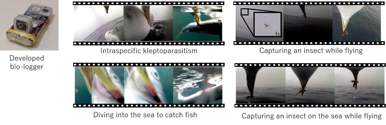 The AI system is initially trained using videos in which it has captured the desired behavior