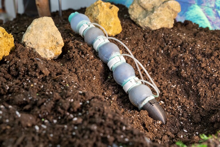 Robot blando inspirado en lombrices de tierra para futuras exploraciones subterráneas. Crédito: Instituto Italiano de Tecnología Robot blando inspirado en lombrices de tierra para futuras exploraciones subterráneas. Crédito: Instituto Italiano de Tecnología