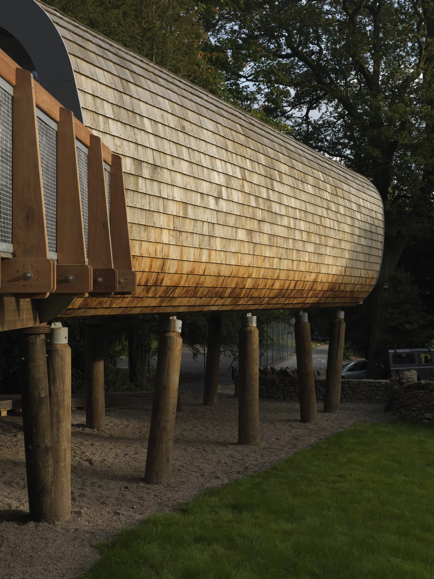 The classrooms sit high above the flora and fauna and are constructed from a ribbed timber frame which sits on atop Douglas fir stilts
