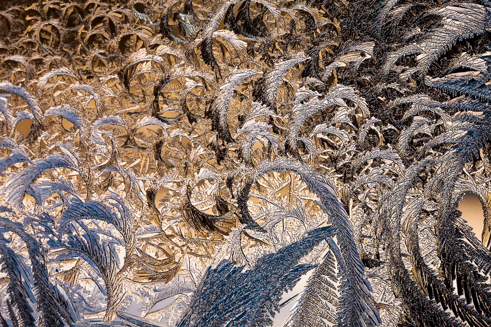 Winner of 1st place in the Amateur Abstract category: James Hersey - Frost. A psychedelic exploration of the crystalline structures appearing on icy windows