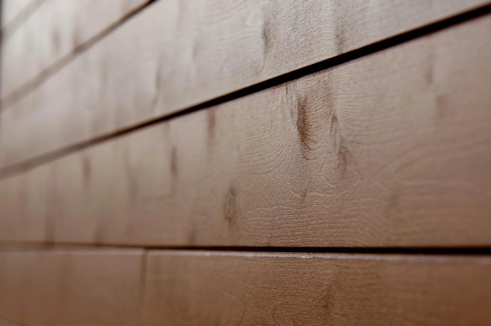 Closeup shot of the Eucalyptus' cedar siding