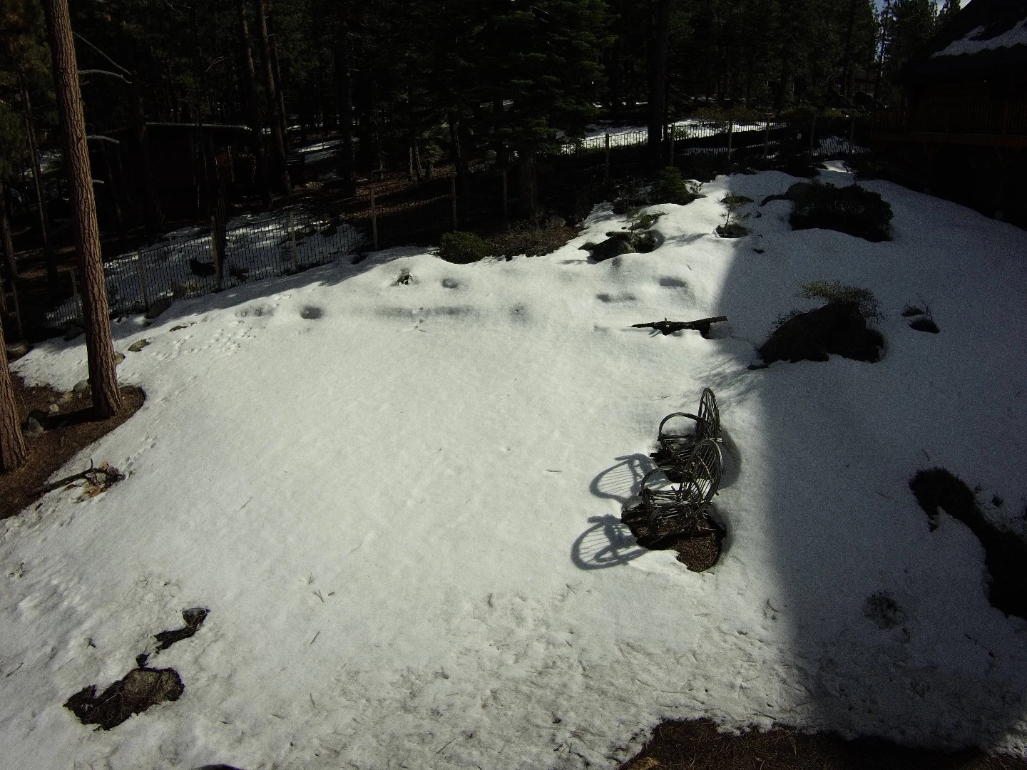Still photo from ProDrone Byrd Standard