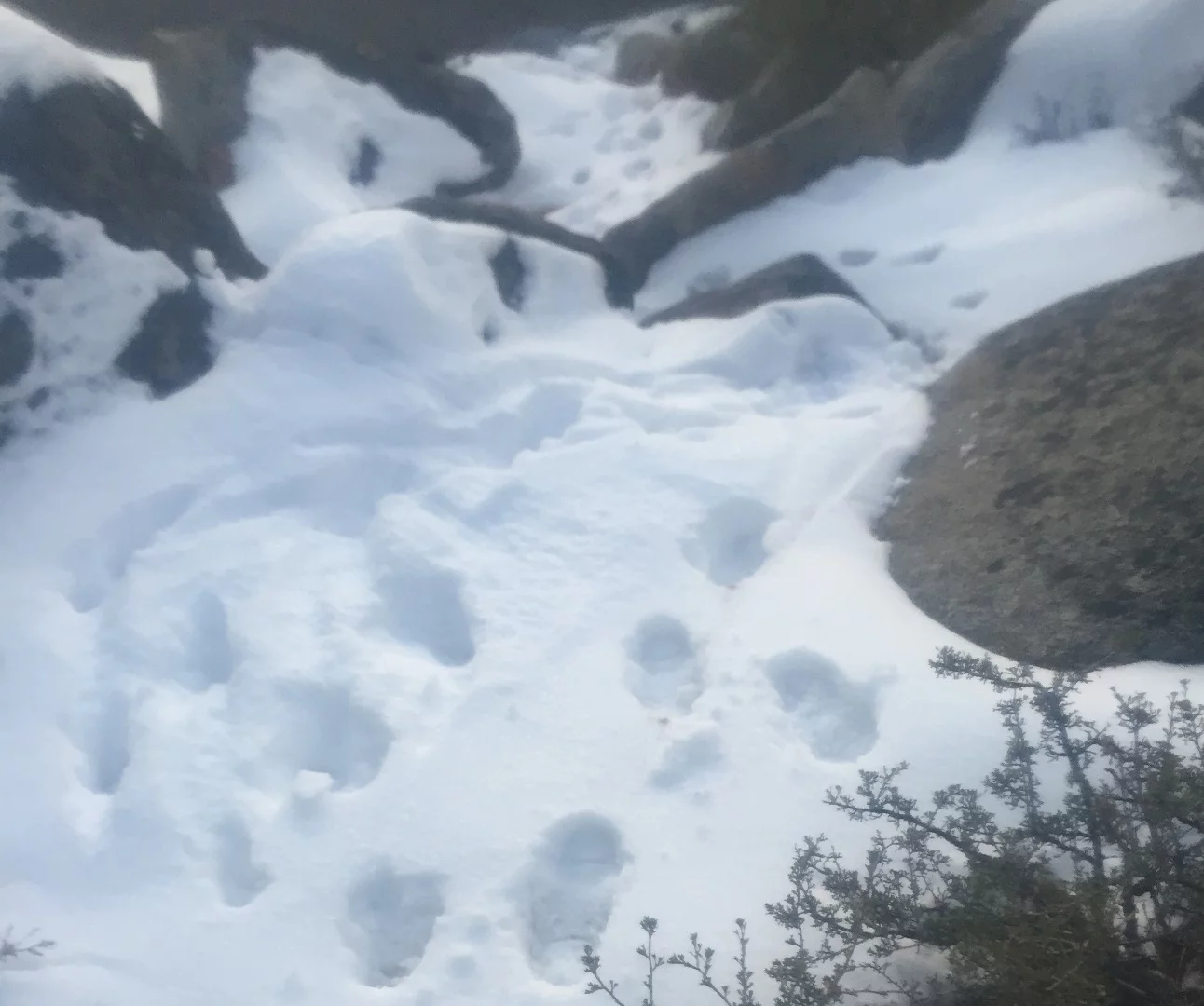 Gizmag tested the ICETrekker Diamond Grip shoe chains in a number of testing conditions, including loose snow and rock