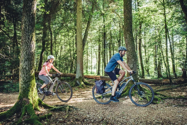 The Flyer TX-Series is designed for trekking on a variety of terrains