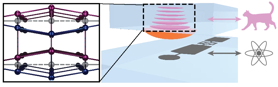 Oscillations in a crystal (left and top) act as the heavy "Schrödinger's cat" in the new study, while the atom is represented by a piezoelectric material (bottom) that sits between the crystal and the superconducting circuit and links them through electric fields