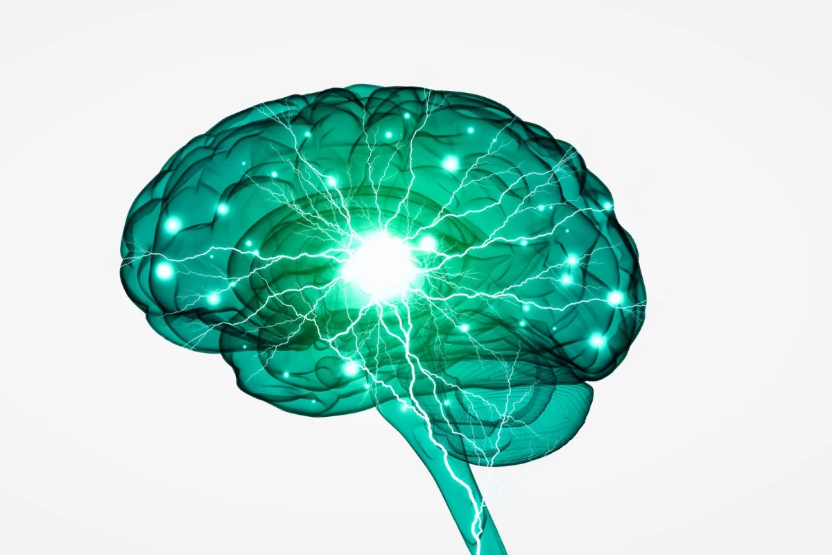 A blood-clotting protein has been found to cause inflammation and synapse damage when it crosses the blood-brain barrier
