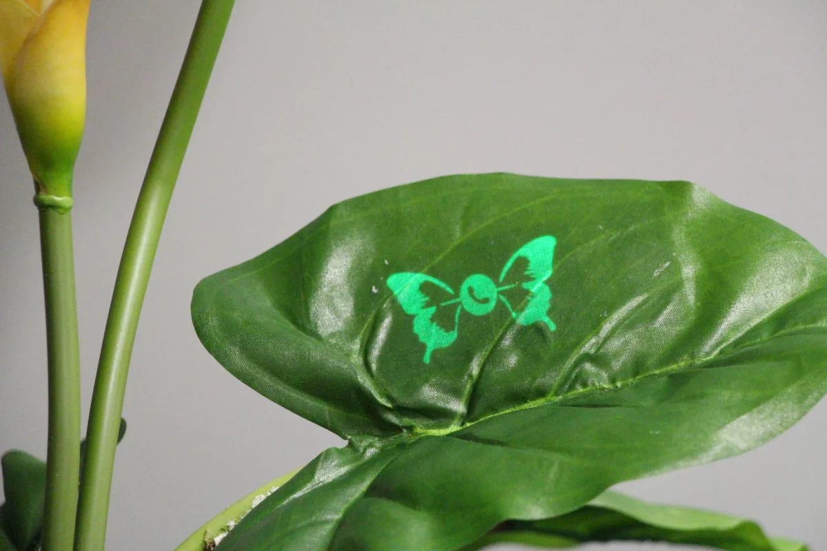 Custom printed displays can make plants smarter, too (Image credit: Saarland University)