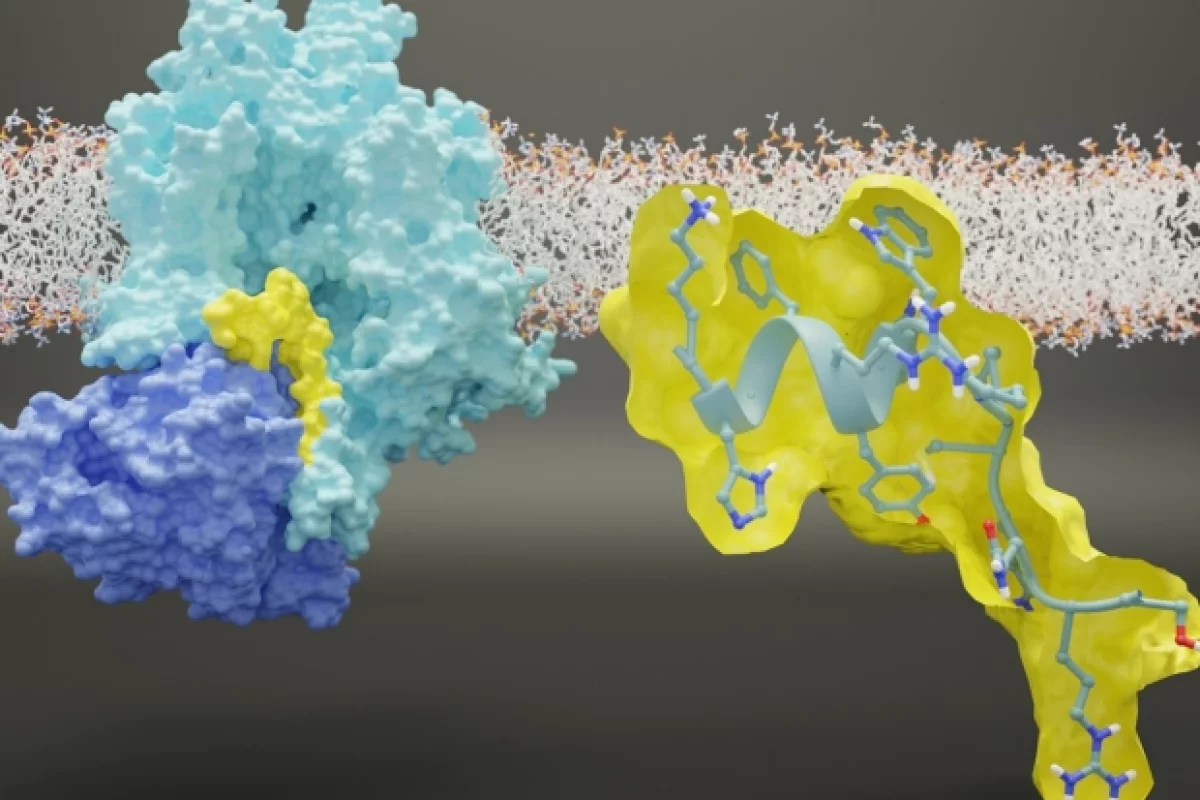 An artistic representation of the interaction between the NaV1.7 sodium ion channel and collapsin response mediator protein 2 (CRMP2)