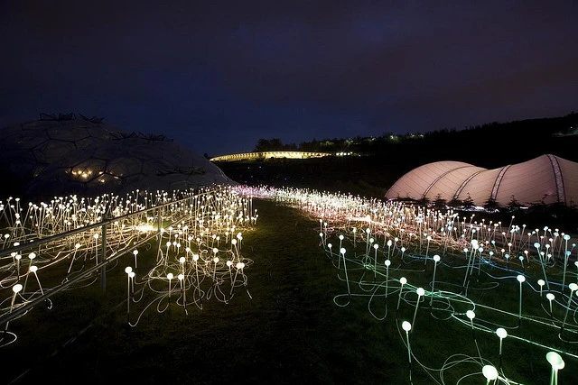 Eden Project at night(Image by Eden Project)