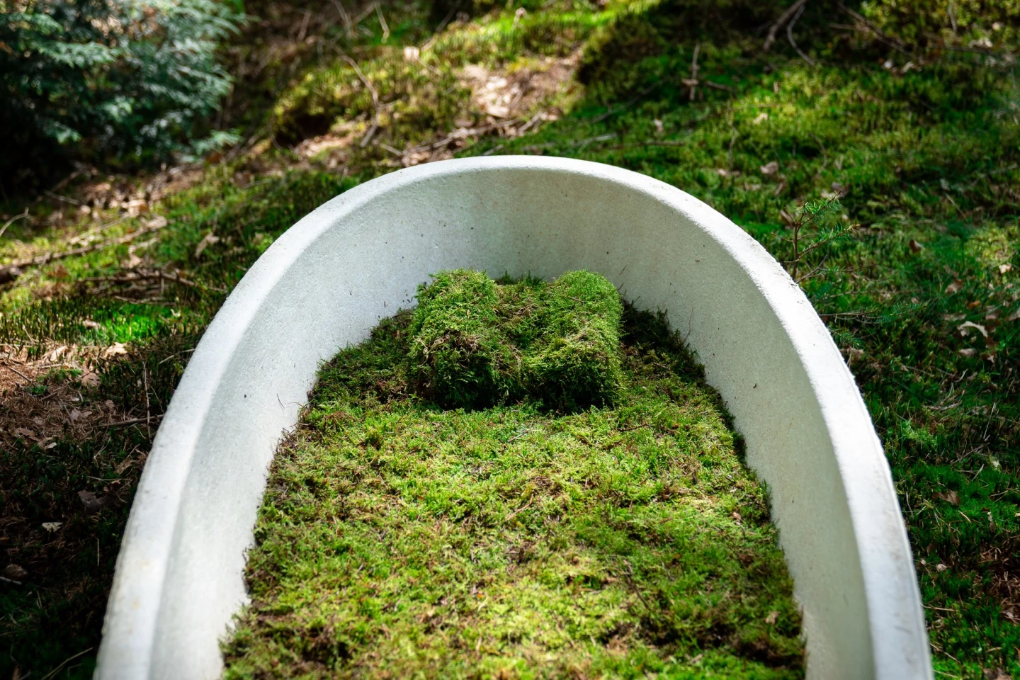 Koza standart olarak yosunla kaplıdır, ancak diğer doğal malzemeler de mevcuttur