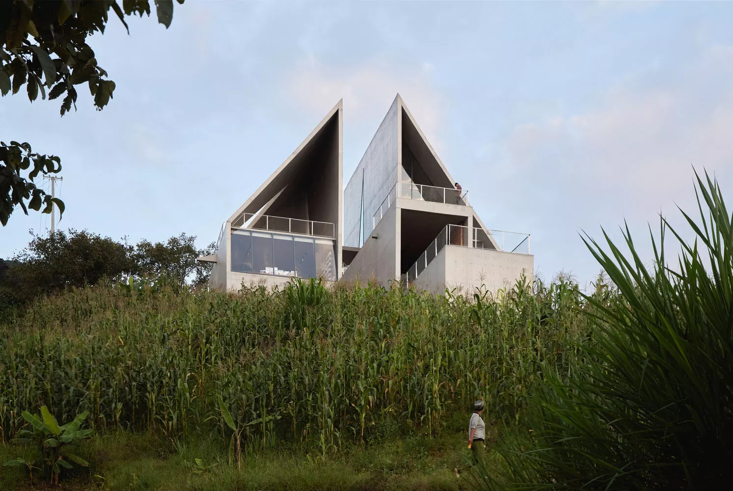 Merging nature and culture: the bookstore at the edge of the Gaoligong Mountains