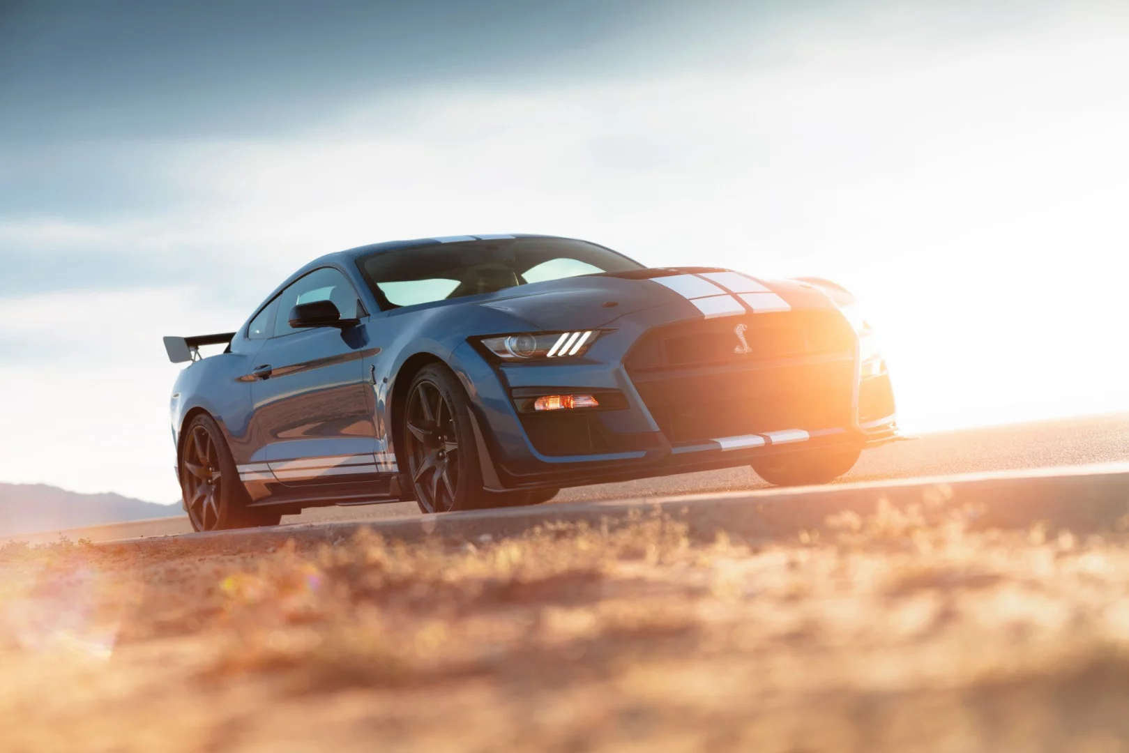 The 2020 Mustang Shelby GT500