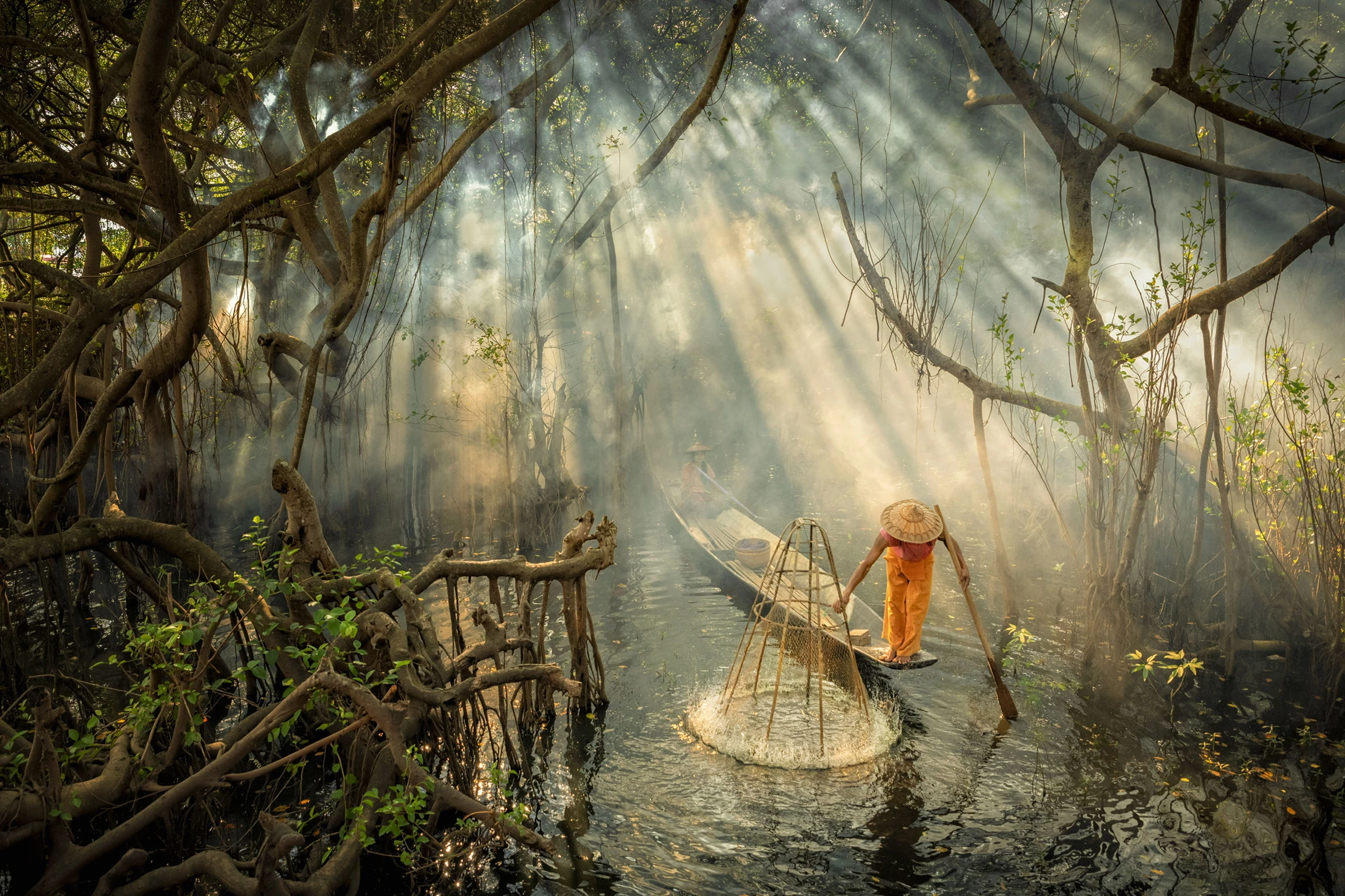 'Afternoon sunlight magic', Inle lake, Myanmar