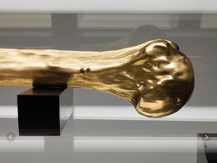 A close-up of Caspar Berger's humerus, cast in gold