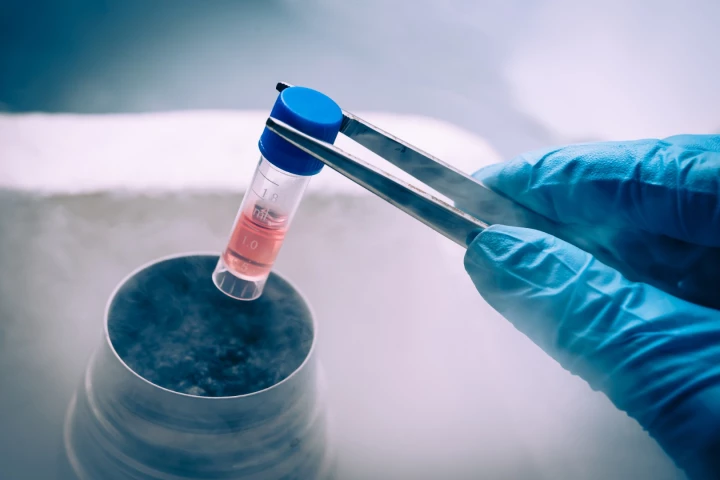 New research suggests adult stem cells could be harvested from patients and repurposed into personalized cancer vaccines