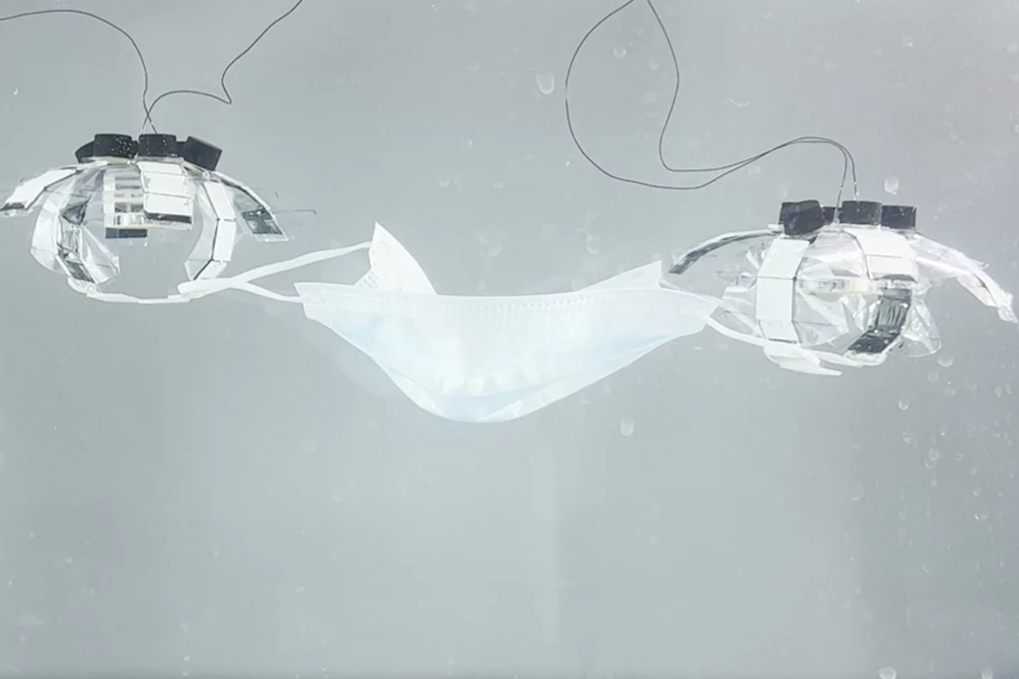 In a demonstration of one of their other capabilities, two Jellyfish-Bots work together to lift a face mask
