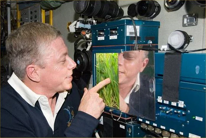 The earlier BIO-5 Rasteniya plant-growing experiment on the ISS (Photo: NASA)