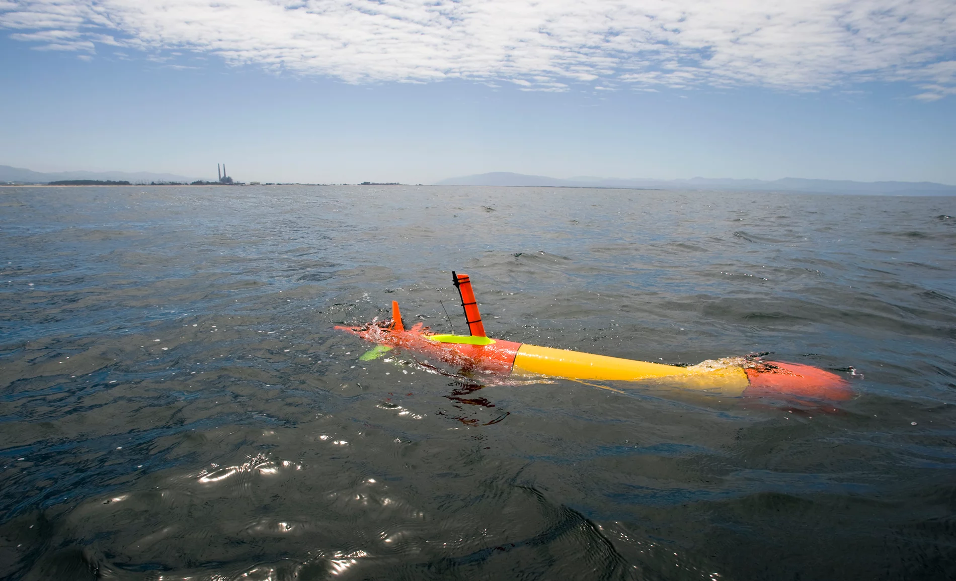 Tethys floating at the sea surface in Monterey Bay (Image: Todd Walsh copyright 2010 MBARI)