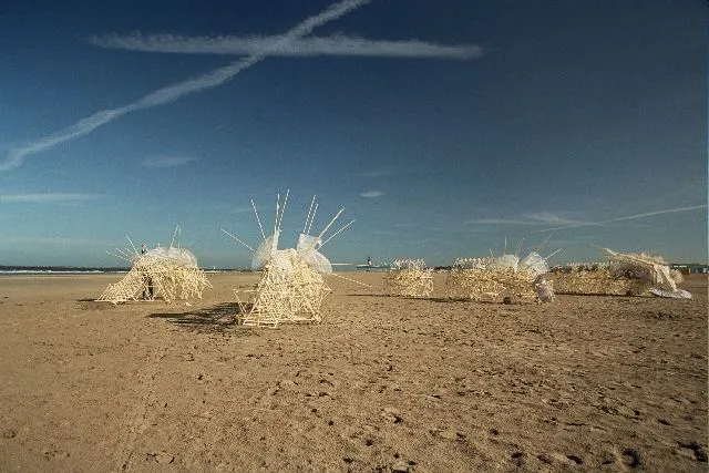 A herd of the Strandbeests at dusk on the beach (Photo: Theo Jansen)