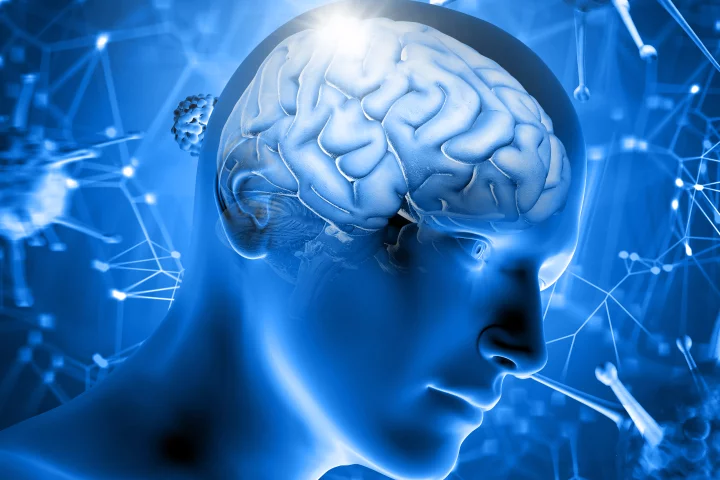 Scientists have developed what they say is the first device to record or stimulate electrical brain activity from within a blood vessel