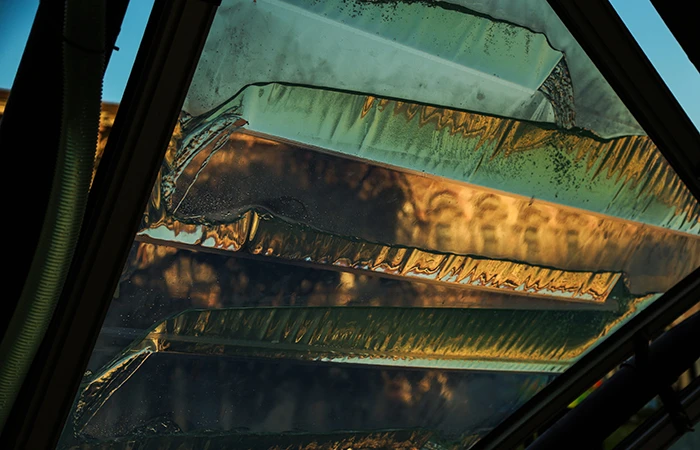 The algae's natural tint produces some interesting light effects. Or, to some, it might just look a bit mouldy.