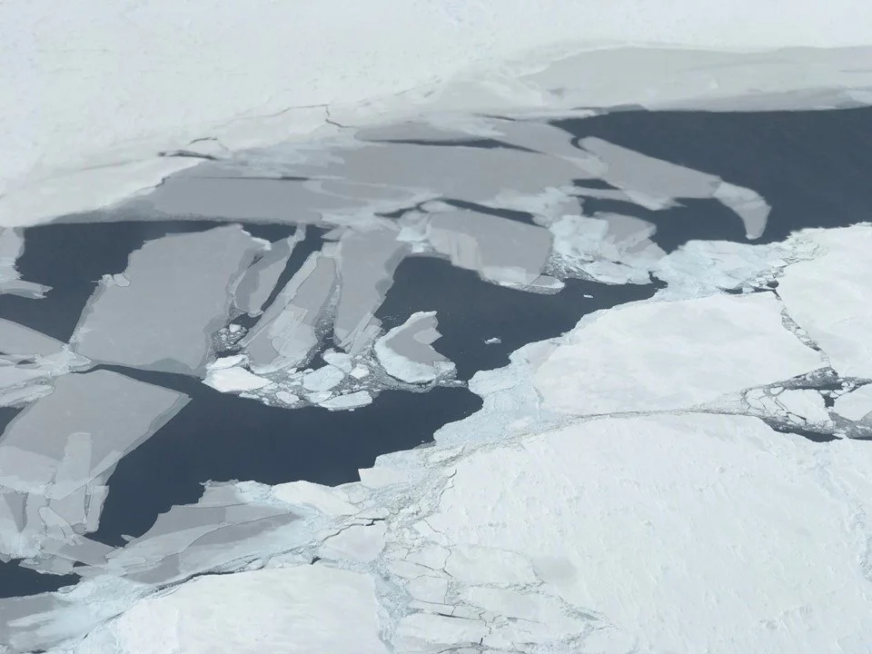 Slabs of thin grey sea ice floes in the western Weddell Sea