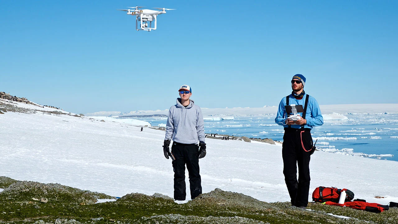 A novel drone system was used to accurately count the massive penguin population