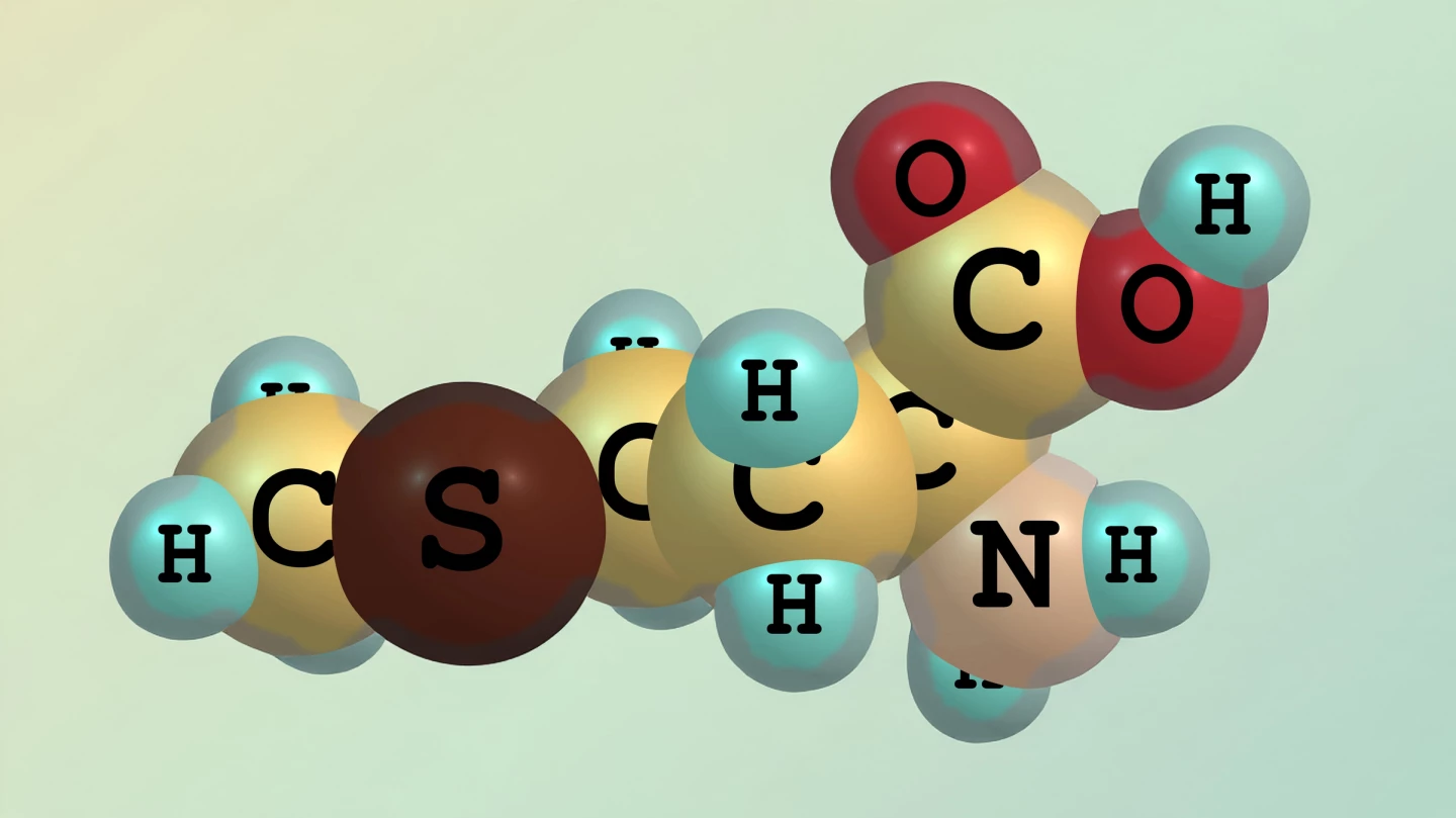 Methionine is an essential amino acid, meaning that the body can't synthesize it and must get it from dietary sources