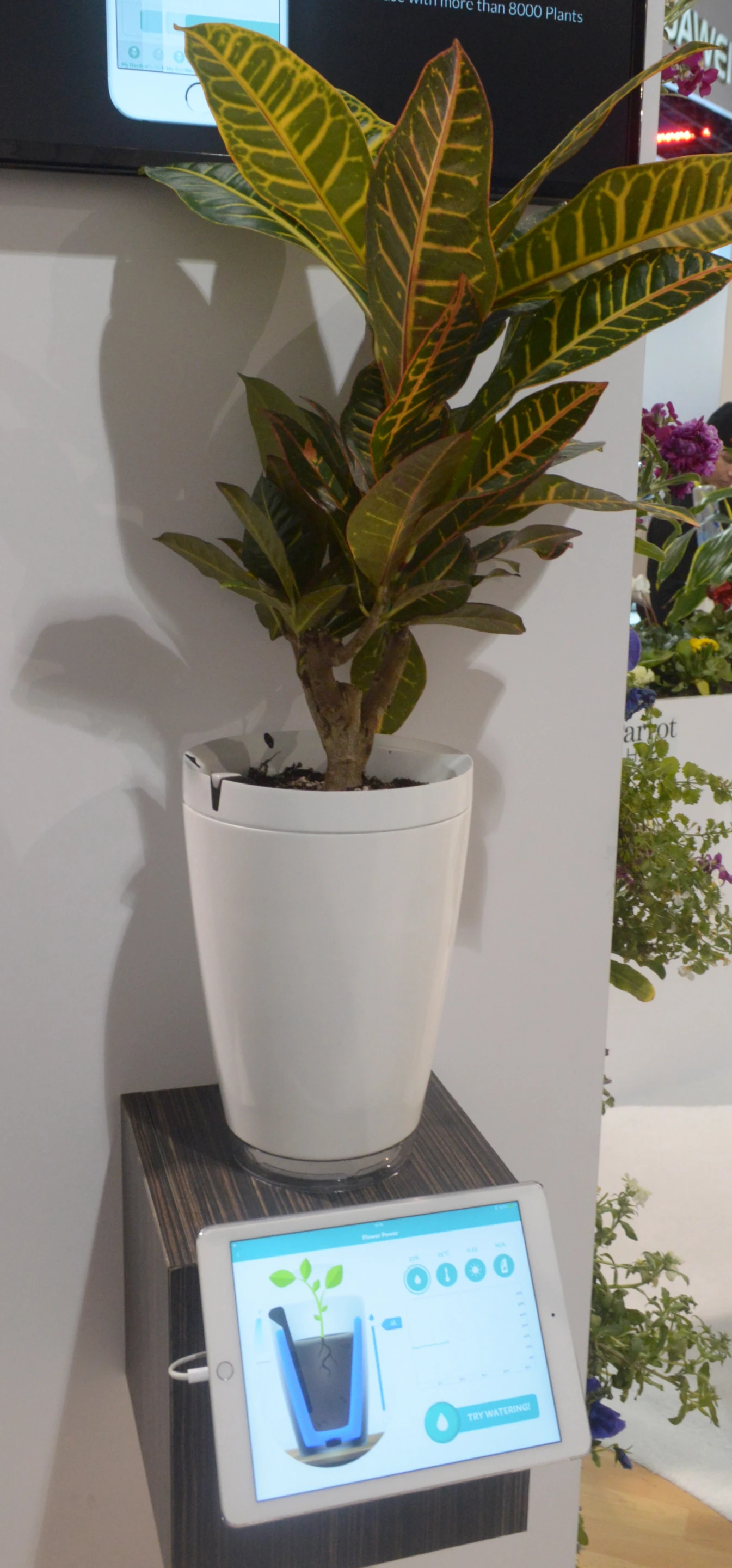 The Parrot Pot includes a 2.2-liter reservoir for autonomously watering a plant for up to a month (Photo: C.C. Weiss/Gizmag)