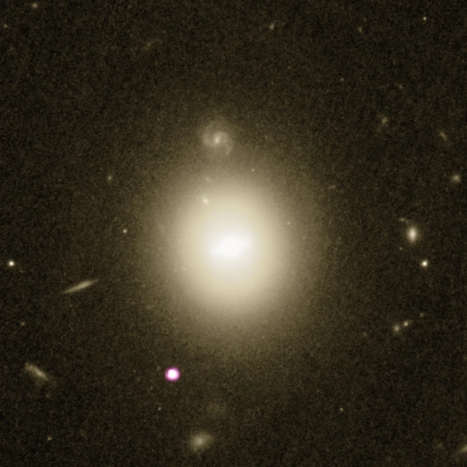 The host galaxy can be seen in the center as the white/yellow light, from Hubble data, while the purple-white spot in the lower section shows the X-ray emissions (thanks to Chandra data) of the intermediate black hole devouring a star
