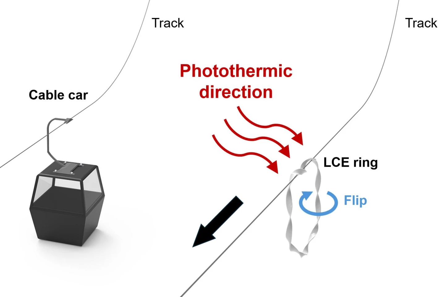 An illustration of the robot (right) alongside its alpine inspiration