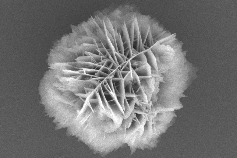 Each microparticle is just 3 micrometers in size