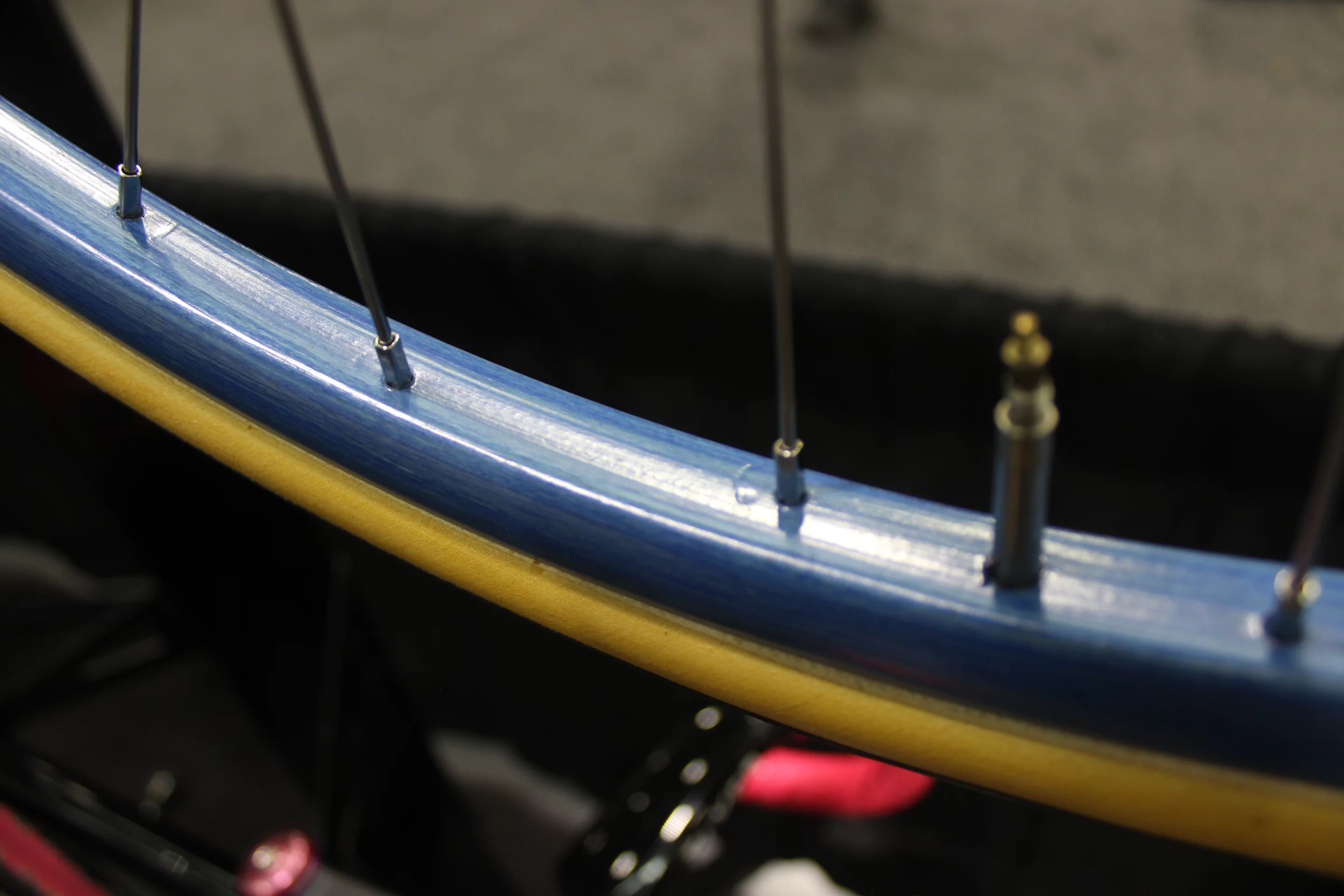 Pretty blue wooden rims made by Haldy's Handbuilt Wheels