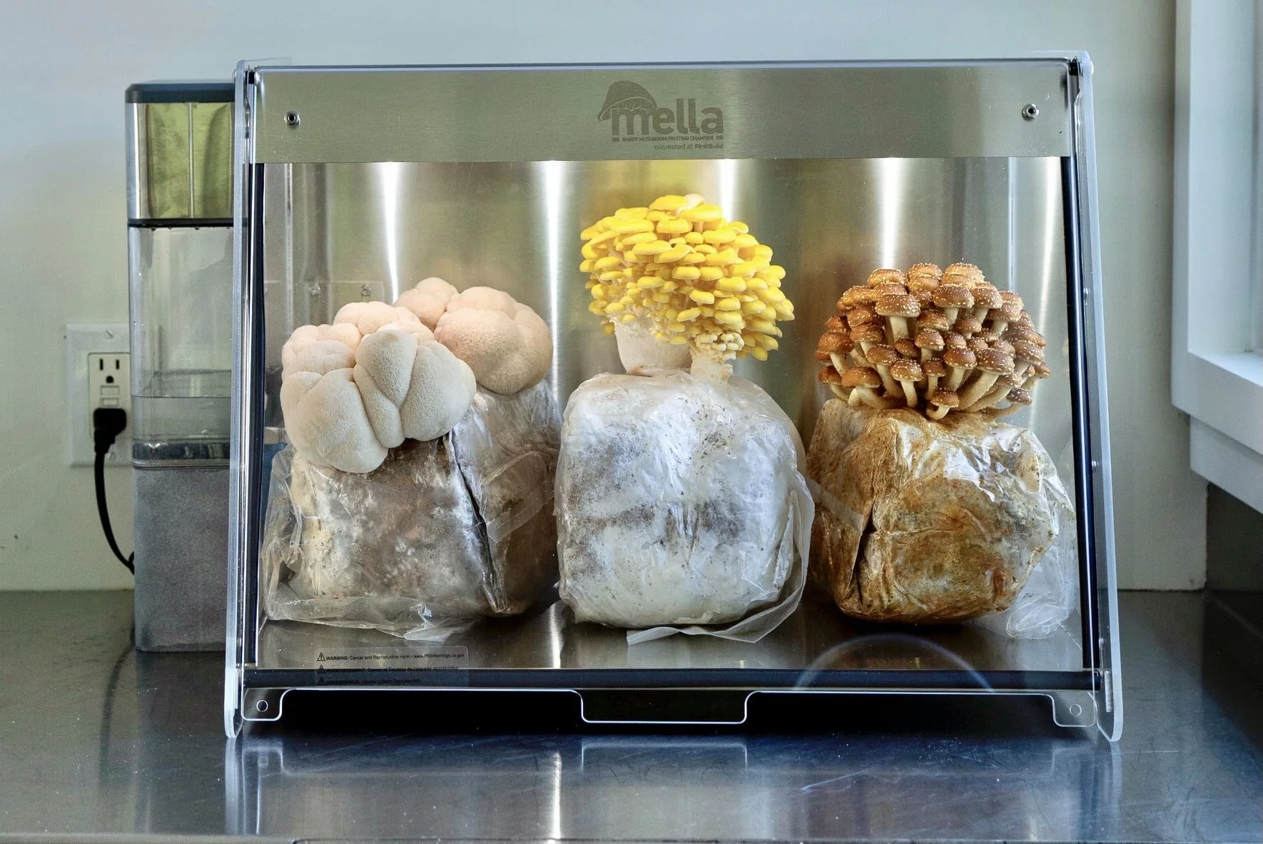 The Mella Smart Mushroom Fruiting Chamber is currently on Indiegogo