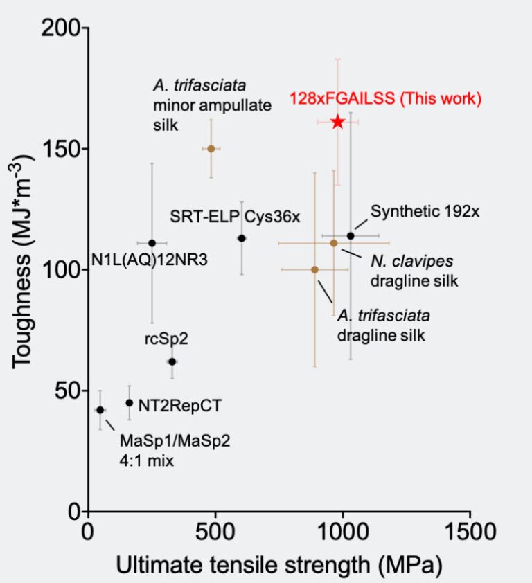 Synthetic spider silk stronger and tougher than the real thing