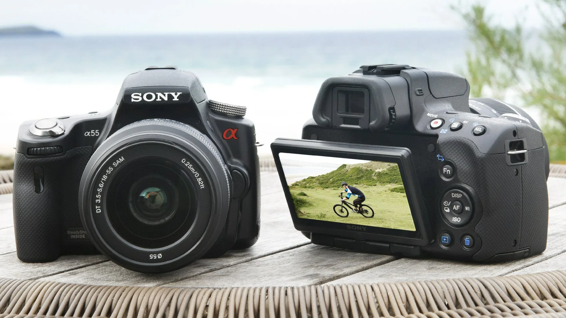 Sony has introduced a couple of new Alpha digital SLR cameras featuring its new Translucent Mirror Technology