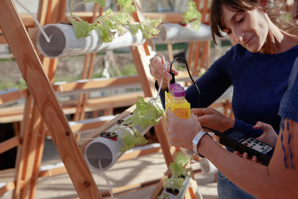 Studiomobile reckons the solar stills can produce up to 150 liters (39 US gallons) of fresh water per day (Photo: Matteo de Mayda)