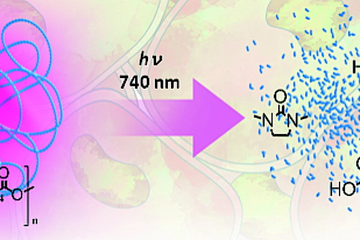 The "smart" material breaks down into non-toxic particles in response to NIR light (Image: American Chemical Society)