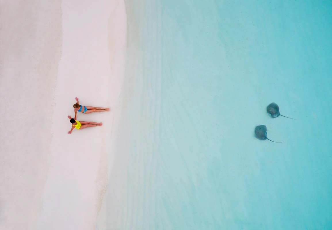 A pair of stingrays approach a pair of beachgoers in French Polynesia