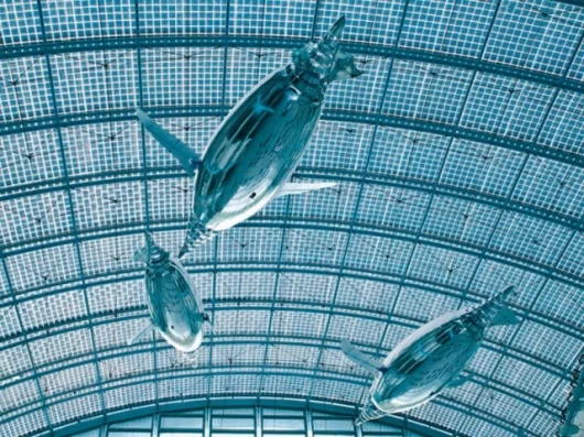 The space age looking AirPenguins
