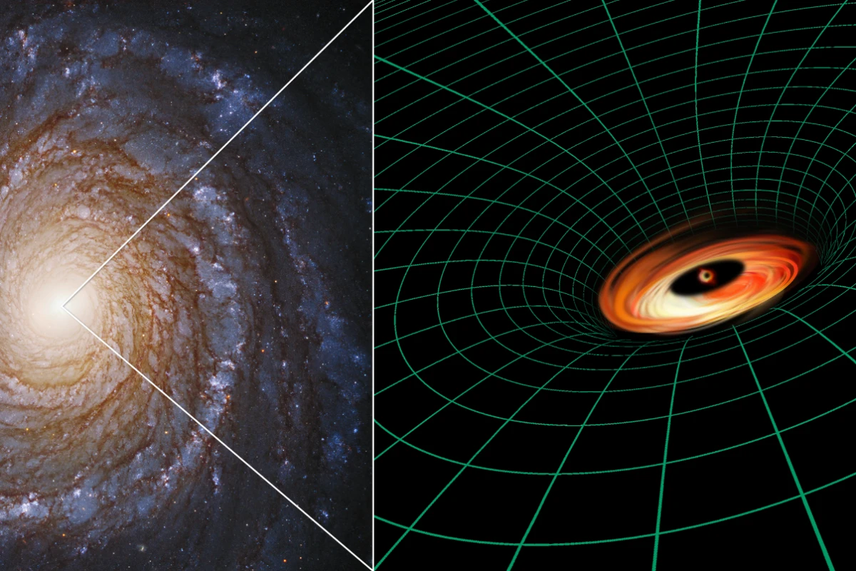 The small, malnourished black hole at the center of galaxy NGC 3147 has surprised astronomers with its disk of dust and gas