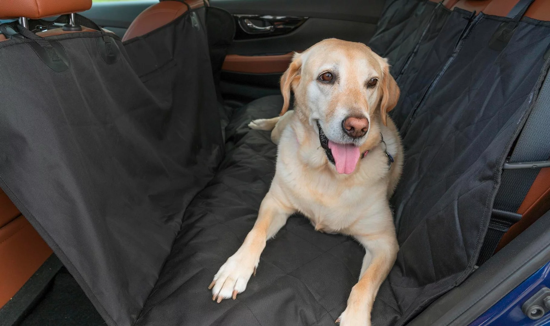 A canine pet sling keeps the rear seats clean and protects them from a dog's nails during transit in the Rogue Dogue