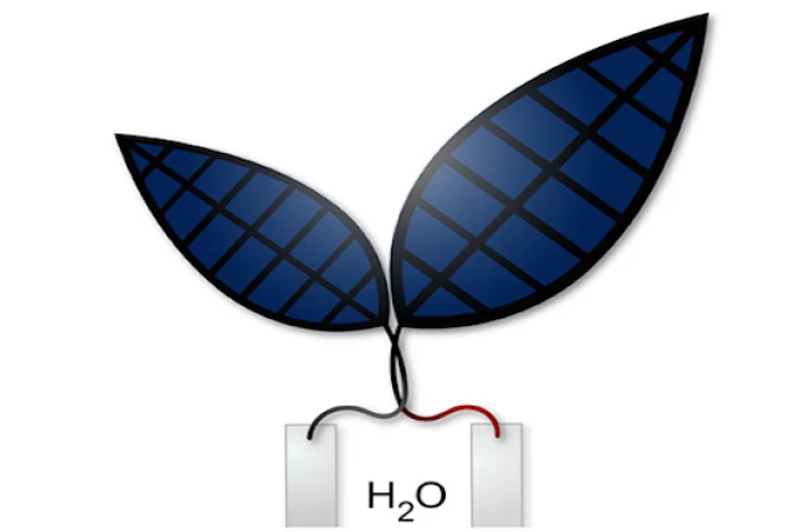 Researchers at Harvard have developed a more efficient version of the bionic leaf, which can turn sunlight and water into electricity and liquid fuels