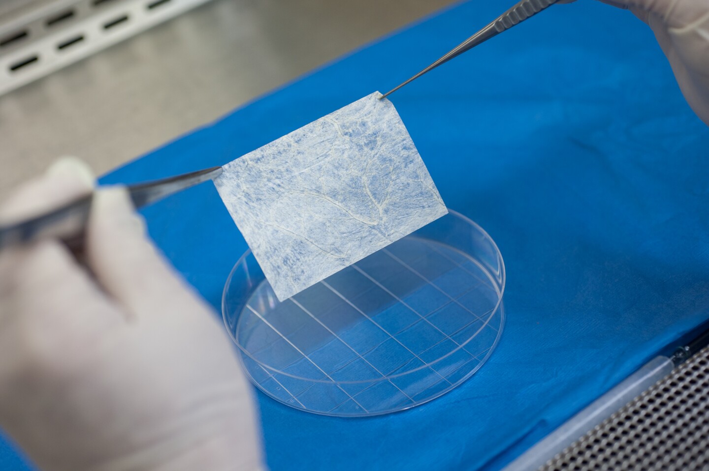 The biodegradable scaffolding material